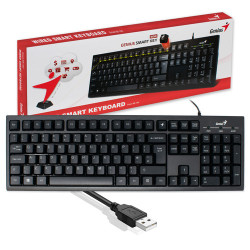 KEYBOARD GENIUS KB100